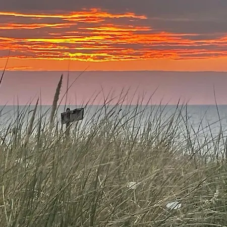 Satori Near The Dunes & The *