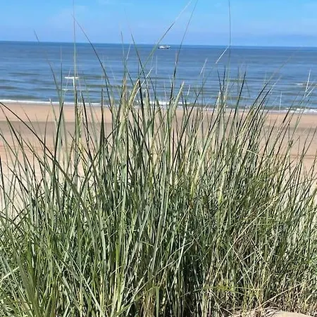 Satori Near The Dunes & The Apartment *