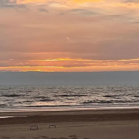 Satori Near The Dunes & The Zandvoort