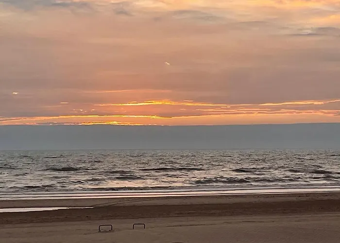 Satori Near The Dunes & The Appartement *