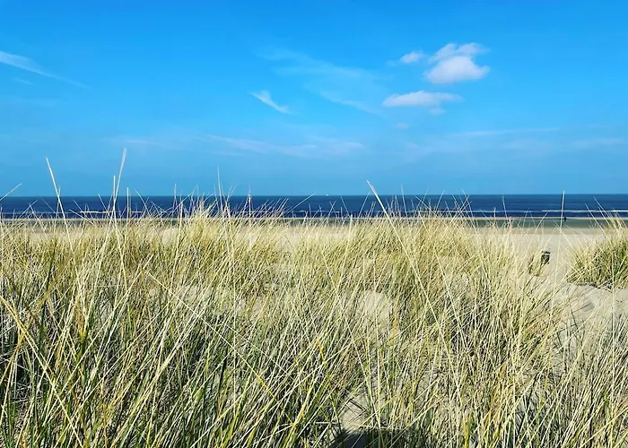 Satori Near The Dunes & The Appartement Zandvoort