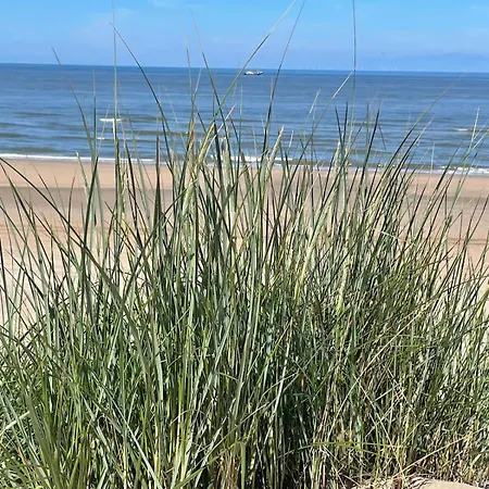 Satori Near The Dunes & The Zandvoort