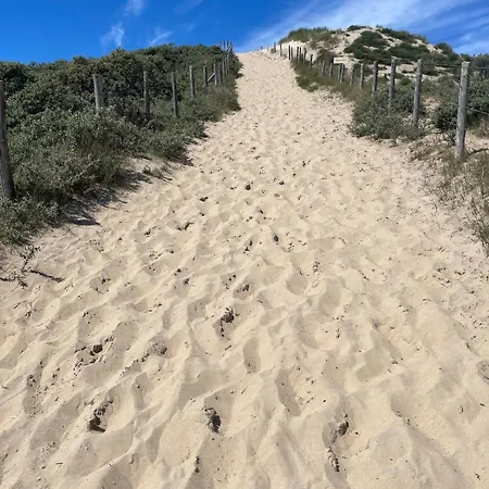 Satori Near The Dunes & The *