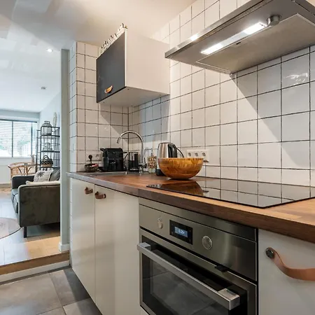 Satori Near The Dunes & The Zandvoort