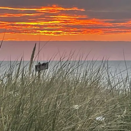 Satori Near The Dunes & The *