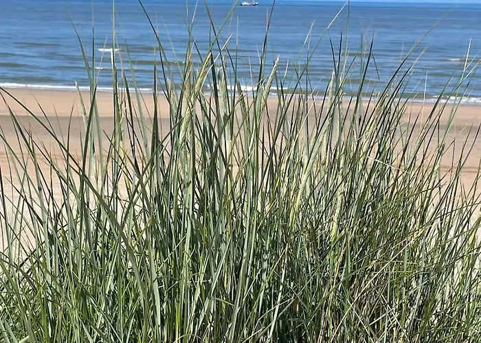Satori Near The Dunes & The Zandvoort