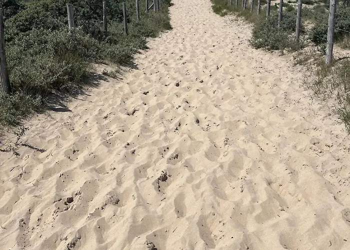 Satori Near The Dunes & The *