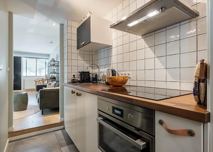 Satori Near The Dunes & The Zandvoort