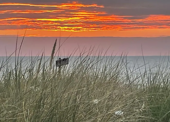 Satori Near The Dunes & The *