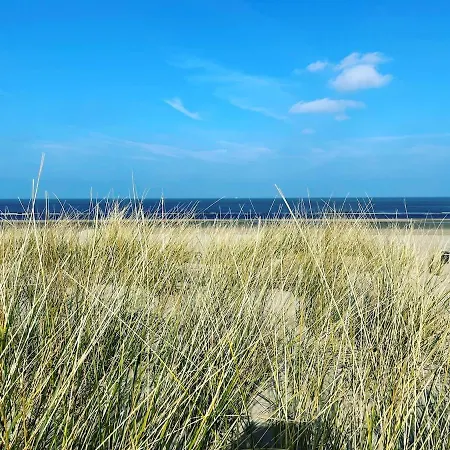 Satori Near The Dunes & The Apartament Zandvoort